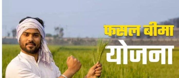 पलामू में फसल बीमा योजना में बड़ा फर्जीवाड़ा, 1.40 लाख आवेदन गलत पाए गए, डीसी ने दिए जांच के आदेश