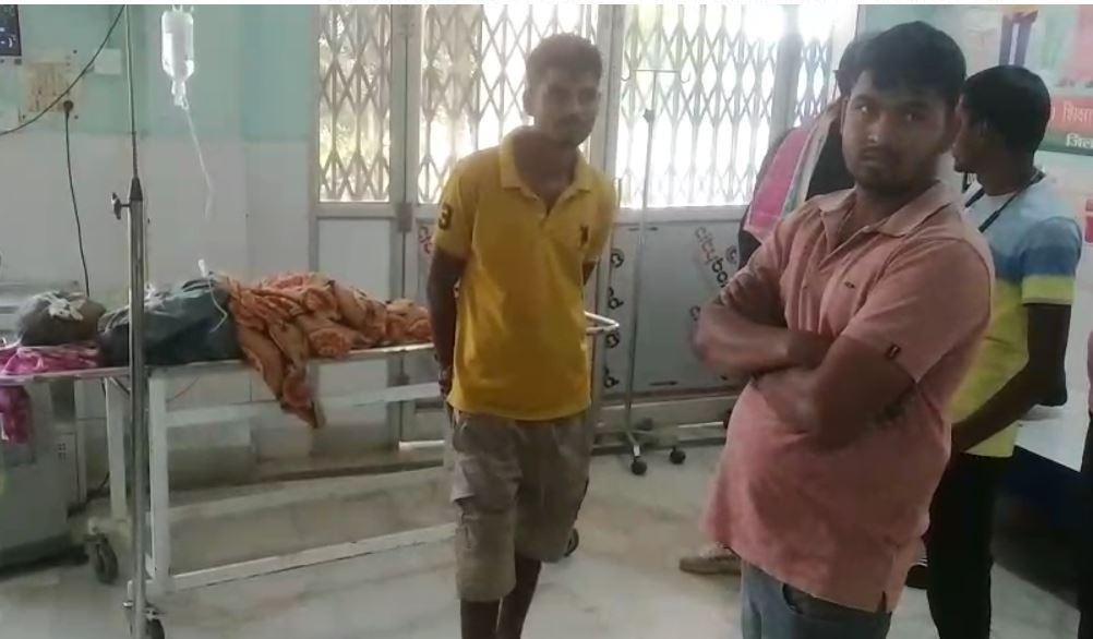 Gumla में जंगली हाथियों ने मचाई तबाही, एक को पटककर मार डाला दूसरा गंभीर और...