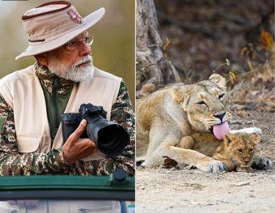 PM Modi ने गुजरात में उठाया Lion Safari का लुत्फ जंगल सफारी का लुत्फ उठाते पीएम मोदी