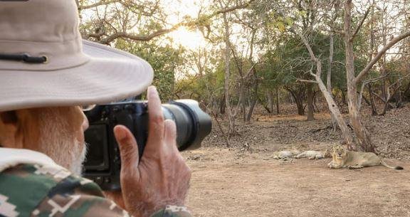 PM Modi ने गुजरात में उठाया Lion Safari का लुत्फ जंगल सफारी का लुत्फ उठाते पीएम मोदी