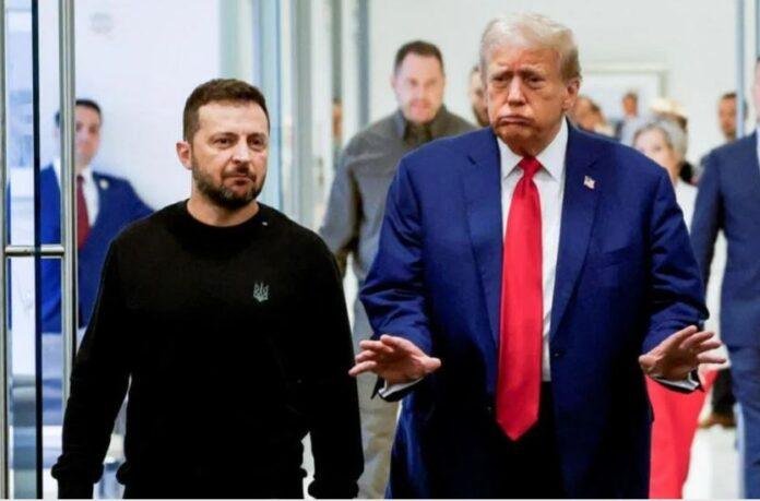 डोनाल्ड ट्रंप के साथ जेलेंस्की