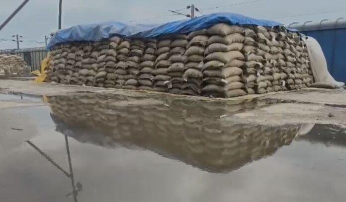 Breaking : FCI की घोर लापरवाही, गरीबों का निवाला सड़ने की कगार पर...