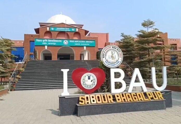BAU
