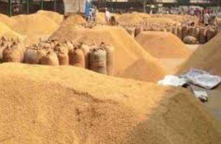 झारखंड में धान क्रय की अवधि 15 दिन बढ़ी, अब 30 अप्रैल तक हो सकेगी खरीदारी