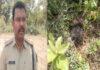 7 वर्षीय बच्ची की निर्मम हत्या, दोनों हाथ व गर्दन धड़ से पाया गया अलग