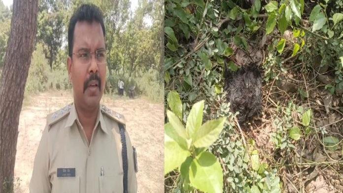 Betia Police 7 वर्षीय बच्ची की निर्मम हत्या, दोनों हाथ व गर्दन धड़ से पाया गया अलग