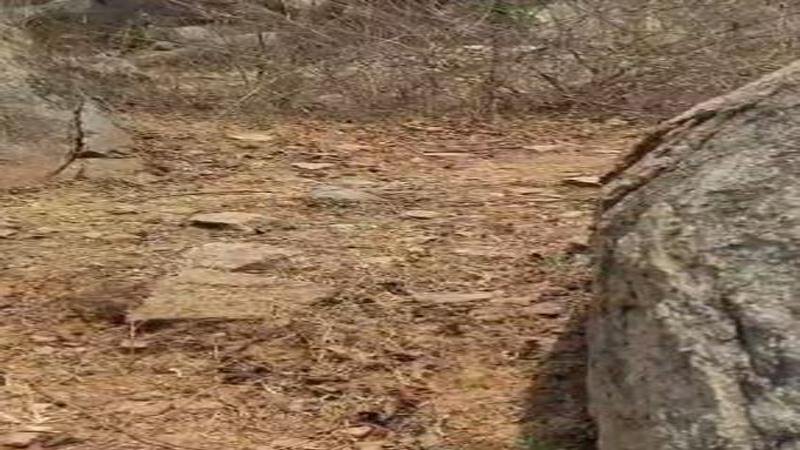 काली पहाड़ी और भुसिया के जंगल से 10 किलो का 2 IED बरामद