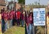 भारत के जड़ी बूटी का अमेरिका में बजेगा डंका, बिहार के किसान होंगे मालामाल