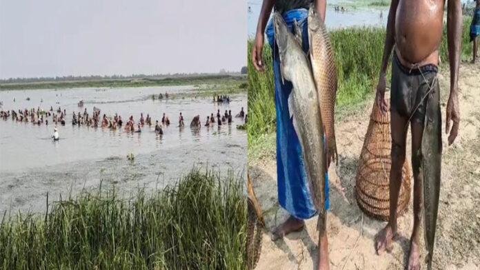 गोगाबिल झील में माही शिकार जारी, प्रतिबंध की उड़ रही धज्जियां