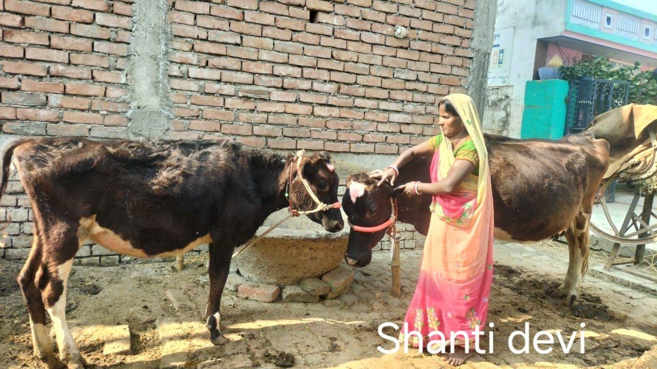 2 43 Bihar News, Jharkhand News & Live Updates