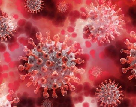 85 रांची में कोविड के तीन एक्टिव मरीज, शुक्रवार को 15 सैंपल में 1 संक्रमित मिला