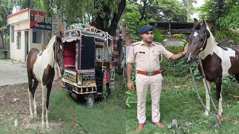 अश्व मेघ का घोड़ा निकला शराब तस्कर