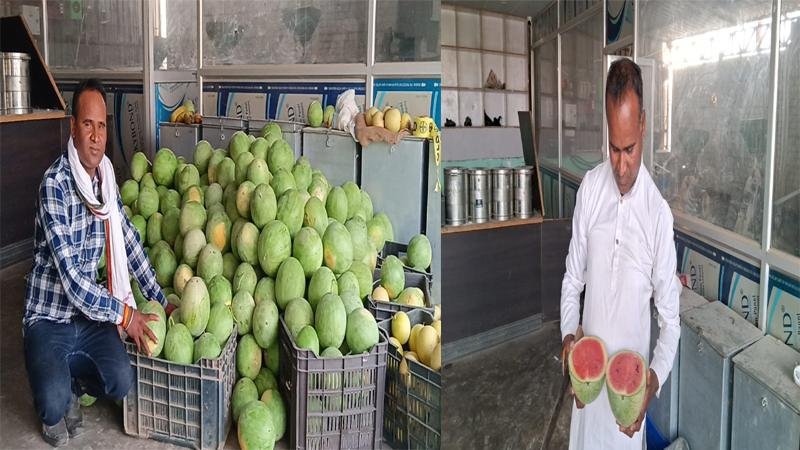 तरबूज की खेती से मालामाल हो रहे हैं बिहार के किसान