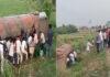 पलटी तेल टैंकर, लूटने की मची होड़, डब्बे और बोतल में भरे लोग