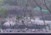 Dhanbad