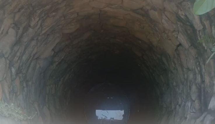 Koderma