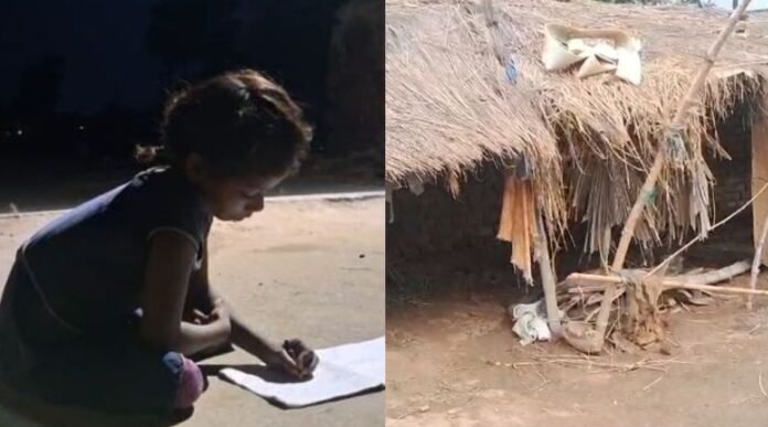किडनी