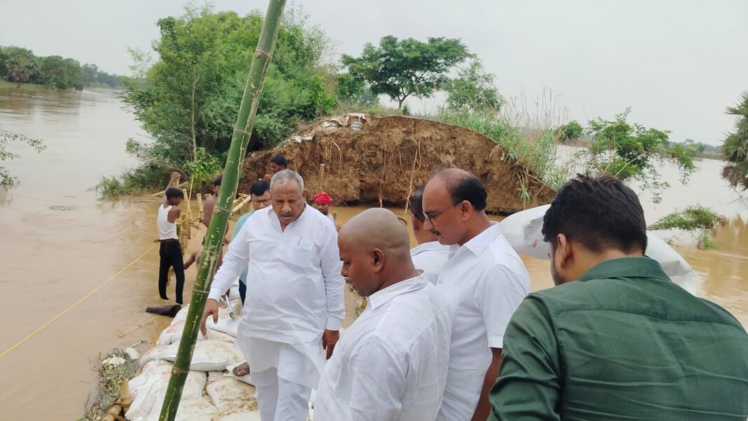 सांसद