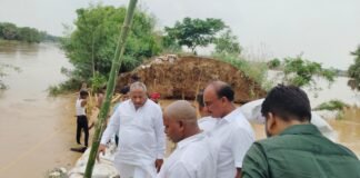 सांसद