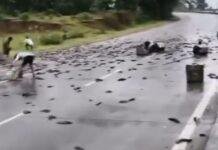 कोलकाता से बिहार जाने वाली बसों में यात्री कम और मछली की होती है अधिक ढुलाई,प्रशासन बना मूकदर्शक