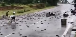 कोलकाता से बिहार जाने वाली बसों में यात्री कम और मछली की होती है अधिक ढुलाई,प्रशासन बना मूकदर्शक