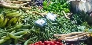 झारखंड में बारिश ने सब्जी उत्पादन पर डाला असर, टमाटर-धनिया की कीमतों में भारी उछाल