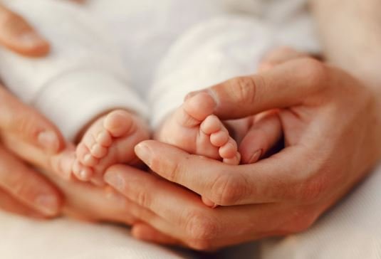 झाड़ियों में मिला नवजात शिशु, हालत गंभीर होने पर हजारीबाग रेफर