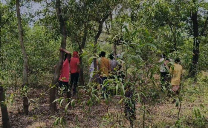 Dhanbad : जंगल में पेड़ से लटकता हुआ युवती का शव मिलने से मची सनसनी, जांच में जुटी पुलिस...