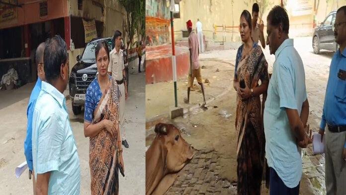 'व्यवस्थित बनाया जाएगा नगर में स्थापित पिंजरा पोल गौशाला'