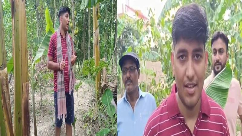 केला ही नहीं पेड़ भी बेचेंगे अब किसान, गोपाल ने केले को बना दिया हरा सोना