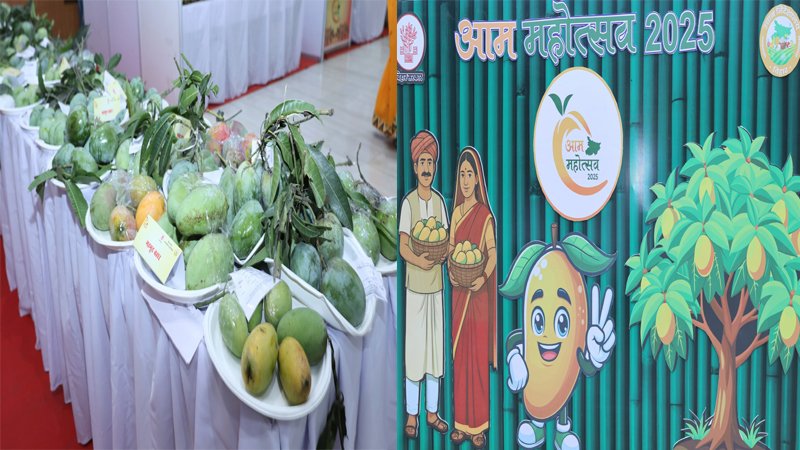 मुख्यमंत्री ने आम महोत्सव-2025 का किया उद्घाटन
