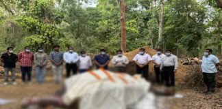 Patna Zoo में पिछले 6 महीने में तीसरे गैंडे की मौत