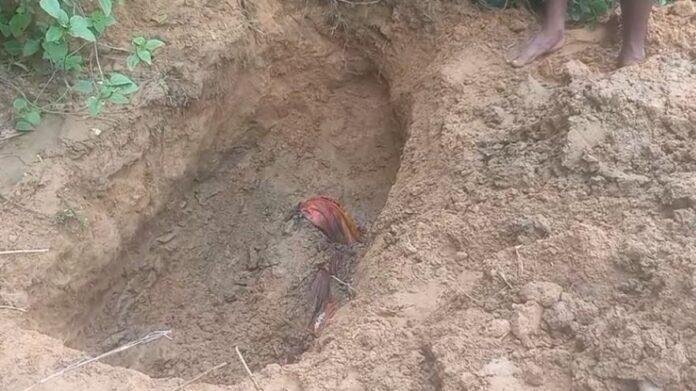 उसरी नदी पुल के पास मिला 10 साल के बच्चे का शव, 3 फीट नीचे जमीन में था दफन 