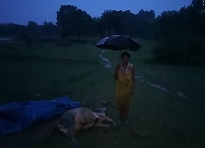 Gumla
