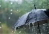 Jharkhand Monsoon Update: झारखंड में 10 से 13 जून तक झमाझम बारिश के आसार