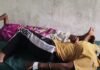 जंगली मशरूम खाने से एक ही परिवार के 6 लोग बीमार