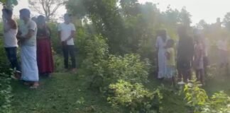 Dumka Suicide : पलाश के पेड़ पर महिला का लटकता शव मिलने से मची सनसनी, जांच में जुटी पुलिस...