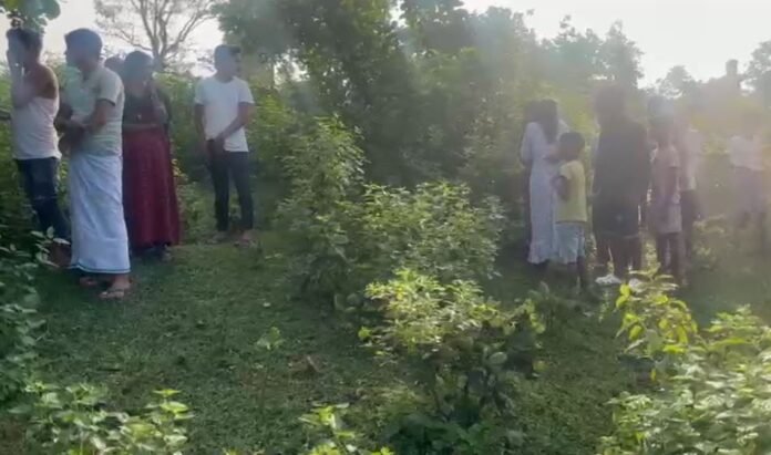 Dumka Suicide : पलाश के पेड़ पर महिला का लटकता शव मिलने से मची सनसनी, जांच में जुटी पुलिस...