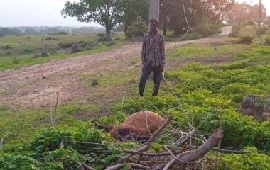 Gumla