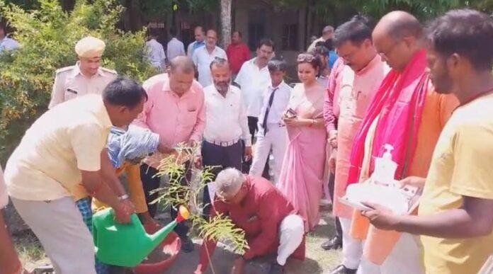 वन महोत्सव