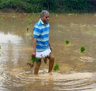 Babulal Marandi धान का बीछड़ा छीटते