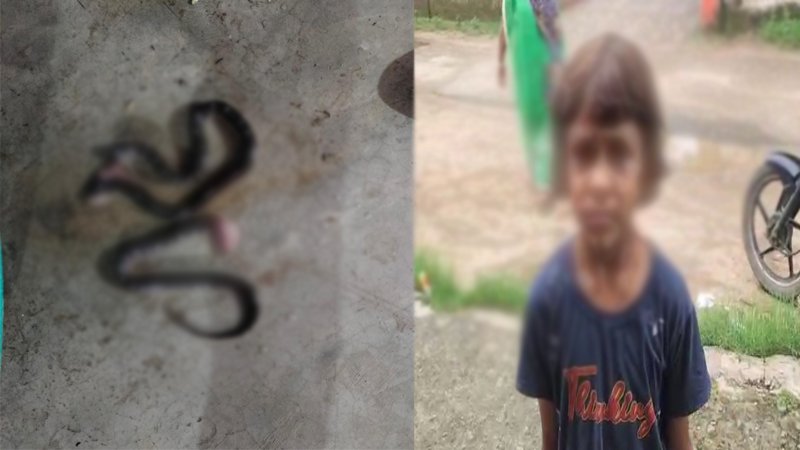 पिता ने बेटी की बचायी जान, गर्दन में लिपटे थे 2-2 विषधर सांप, हाथ से दबाकर मारा