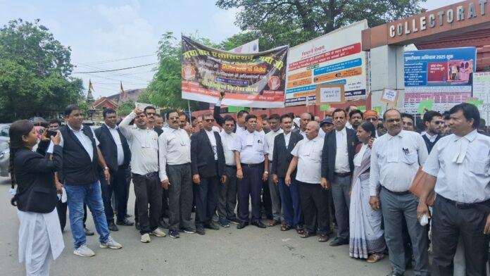 अधिवक्ता