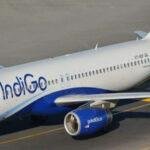 Indigo Flight 22Scope News