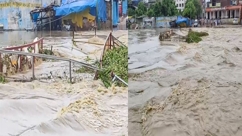 बारिश का कहर : बिहार की कई नदियां उफान पर, कई गांवों का शहर से संपर्क टूटा बारिश का कहर : बिहार की कई नदियां उफान पर, कई गांवों का शहर से संपर्क टूटा