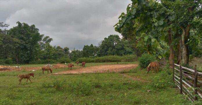 Gumla