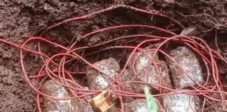 एक बार फिर नक्सलियों की बड़ी साजिश नाकाम