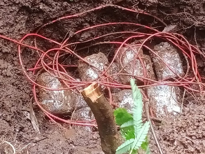 ied एक बार फिर नक्सलियों की बड़ी साजिश नाकाम