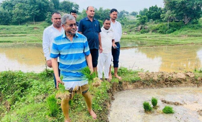 Babulal Marandi बने किसान, कोदांईबांक स्थित अपने खेत में धान की रोपाई की