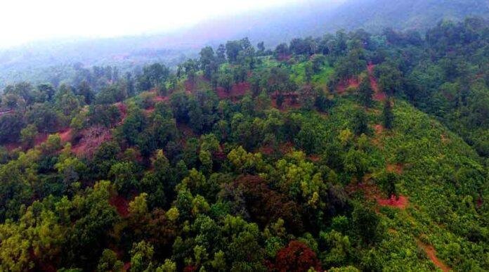 सारंडा में फिर मिला एक और घायल हाथी, वन विभाग ने शुरू किया रेस्क्यू ऑपरेशन